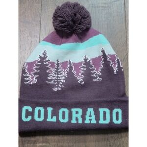 Colorado Mountain Trees Pom Beanie Hat Purple Teal Winter Ski Snowboard